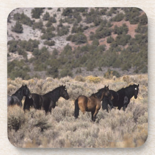 Porta-copo Cavalos selvagens do mustang no deserto 2