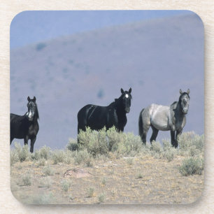 Porta-copo Cavalos selvagens do mustang no deserto 3