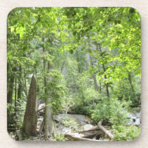 Cena da Floresta Verde Mágica.