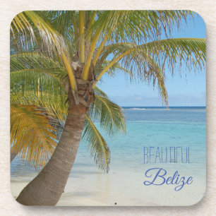 Porta-copo Cena de praia com palmeira tropical em Belize Foto