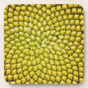 Porta-copo Centro de Girassol gigante (Helianthus annuus)