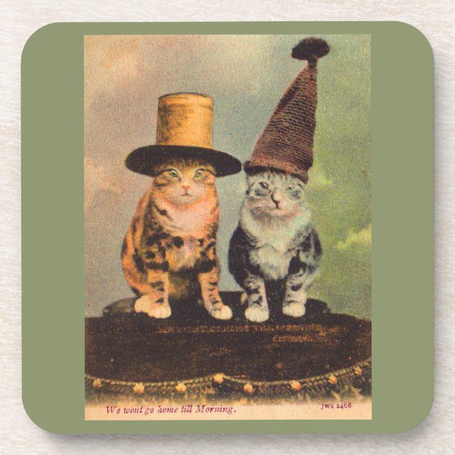 Porta-copo cerca de 1900 gatos em chapéus RPPC (Frente)