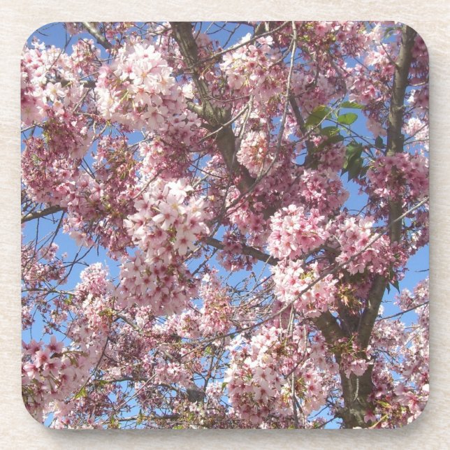 Porta-copo Cerejeiras em Flor (Frente)