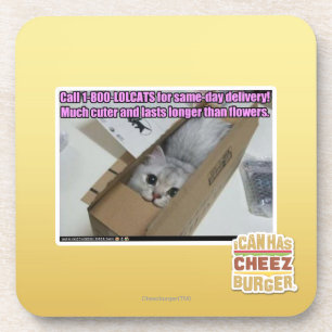 Porta-copo Chamada 1-800-LOLCATS