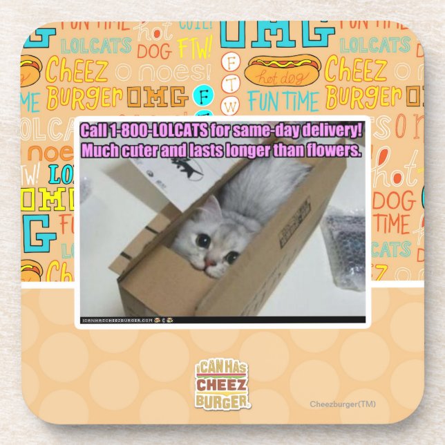 Porta-copo Chamada 1-800-LOLCATS (Frente)