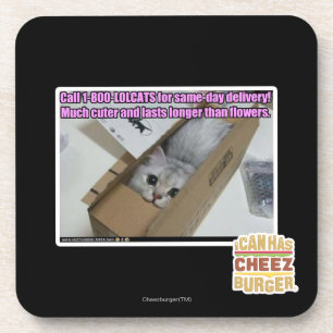 Porta-copo Chamada 1-800-LOLCATS