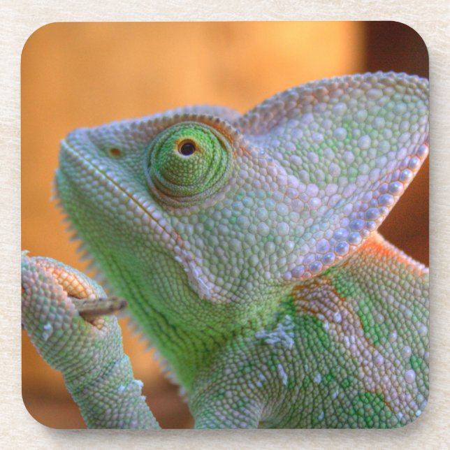 Porta-copo Chameleon velado (Frente)