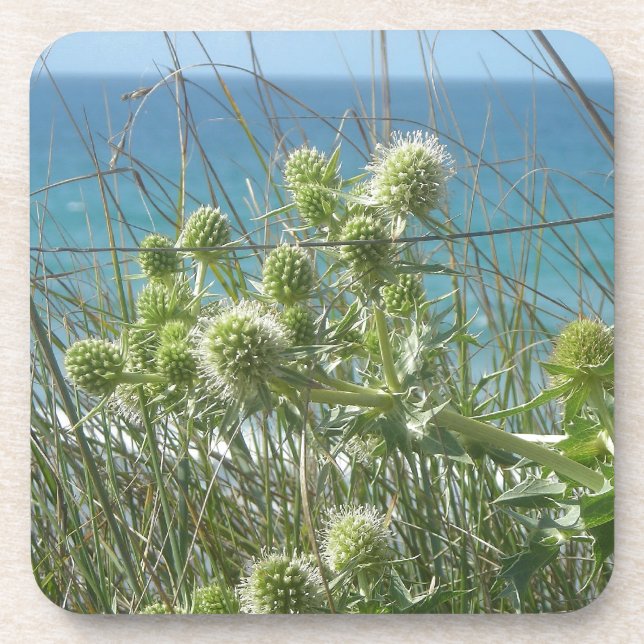 Porta-copo chardônios (Frente)