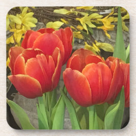 Porta-copo Cheery Tulips