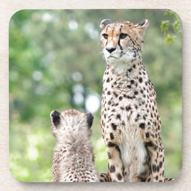 Porta-copo Cheetah 004 (Frente)