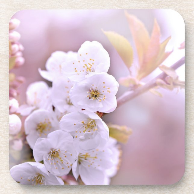 Porta-copo Cherry Tree Blossoms (Frente)