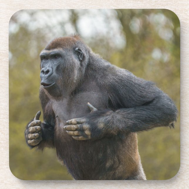 Porta-copo Chest Beating Gorilla (Frente)