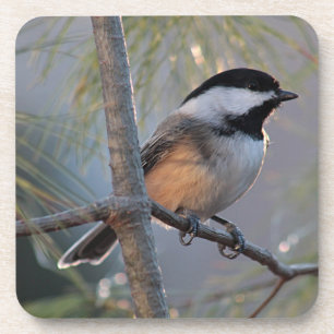 Porta-copo Chickadee