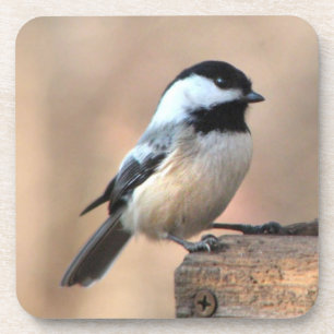 Porta-copo Chickadee na luz dourada
