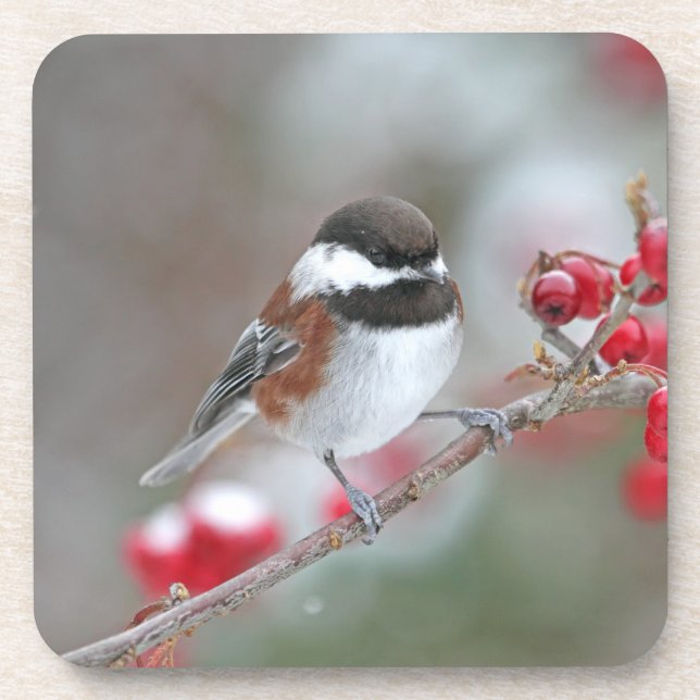 Porta-copo Chickadee na neve de queda com bagas vermelhas (Frente)