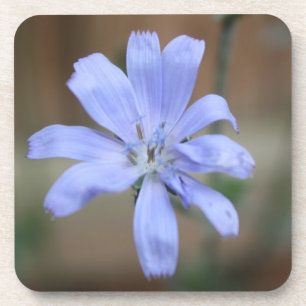 Porta-copo Chicória