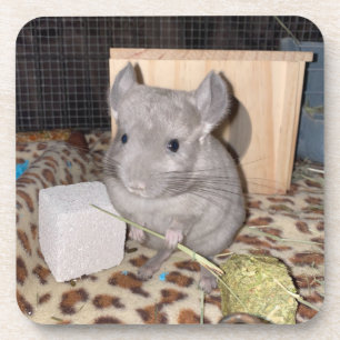 Porta-copo Chinchilla