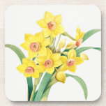 Porta-copo Chinese Sacred Lily, Pierre-Joseph Redouté,<br><div class="desc">Pierre-Joseph Redouté,  1805
... ..Narcissus tazetta,  paperwhite,  french,  flowers,  floral,  botanical print,  vintage,  retro,  bright,  bold,  vivid,  vibrant,  nature,  natural,  formal,  sophisticated,  minimalist,  minimalism,  orange,  yellow,  green,  delicate,  elegant,  sophisticated,  stately,  chic,  drawing,  cottagecore</div>