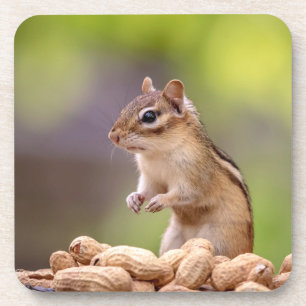 Porta-copo Chipmunk com amendoins