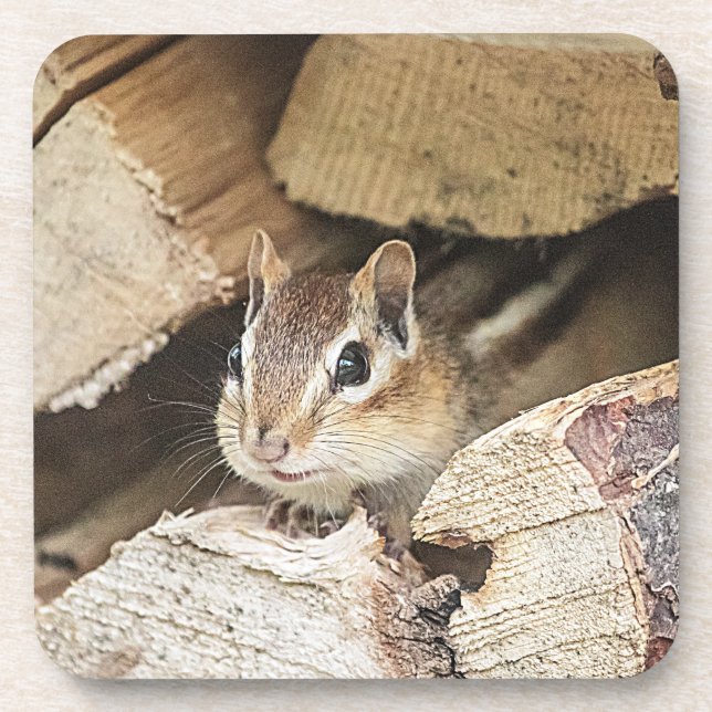 Porta-copo Chipmunk numa pilha de madeira (Frente)