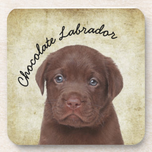 Porta-copo Chocolate Labrador
