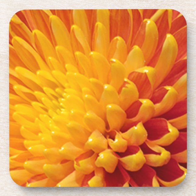 Porta-copo Chrysanthemum Amarelo e Laranja (Frente)