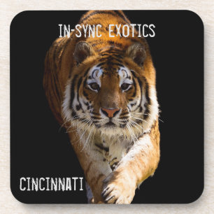 Porta-copo Cincinnati Tiger -