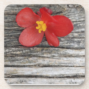 Porta-copo Cinza Com Coaster De Bebida Flor Vermelha