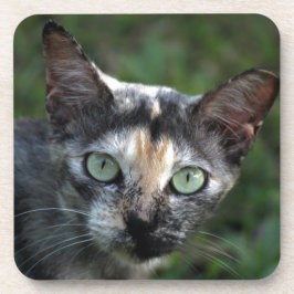 Porta-copo Cinza de Gato Branco Castanho com Olhos Verdes