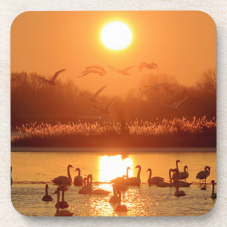 Porta-copo Cisnes no lago de Sunset