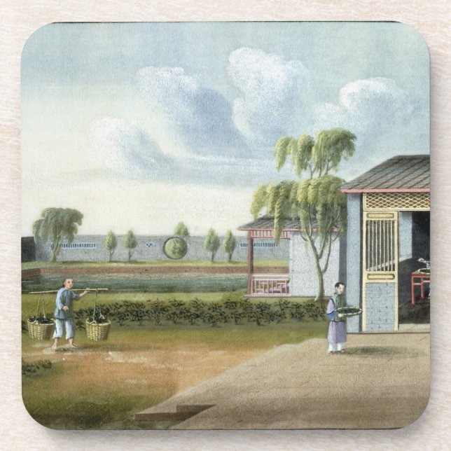 Porta-copo Classificando o chá (w/c no papel) (Frente)