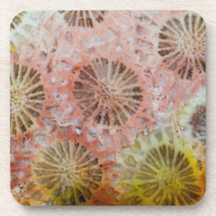 Porta-copo Close de Coral Rosa