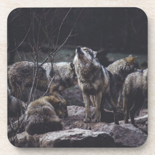 Porta-copo Coaster De Bebidas Do Wolf Pack