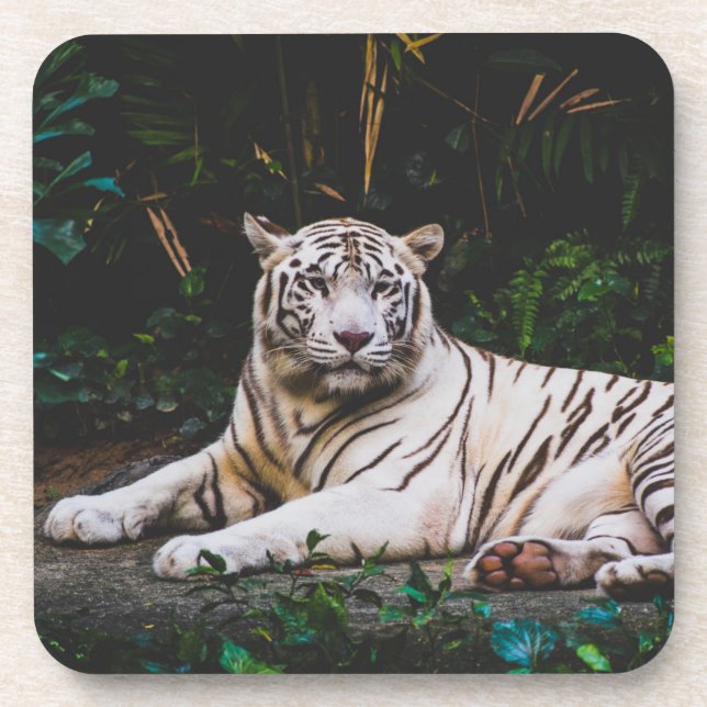 Porta-copo Coaster De Bebidas Tiger (Frente)