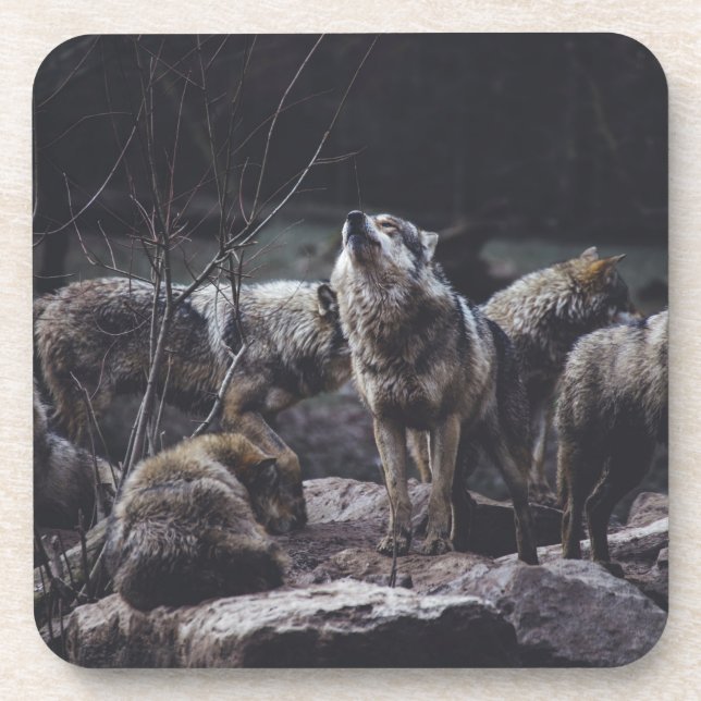 Porta-copo Coaster De Bebidas Wolf Pack (Frente)