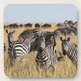 Porta-copo Coaster de Bebidas Zebra do Grant