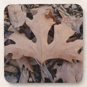 Porta-copo Coasters. da folha de Brown