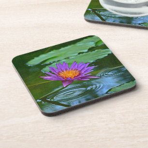 PORTA-COPO COASTERS/SET DE 6" LÍRIO DE ÁGUA ROXO E DOURADO