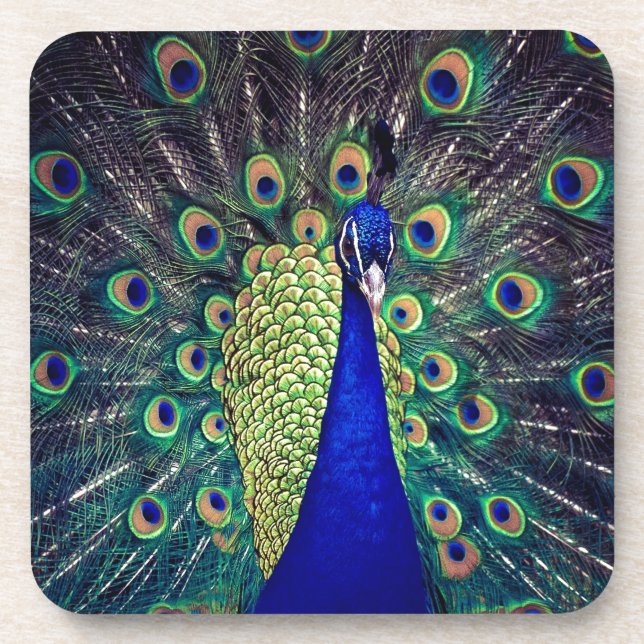 Porta-copo Cobalto Blue Peacock (Frente)