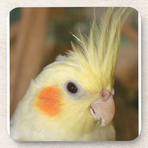Porta-copo Cockatiel amarelo