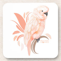 Cockatoo Molucano