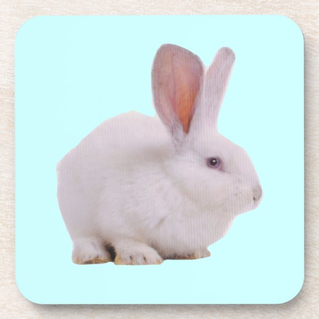 Porta-copo Coelhinho Bunny Kawaii Fofinho (Frente)