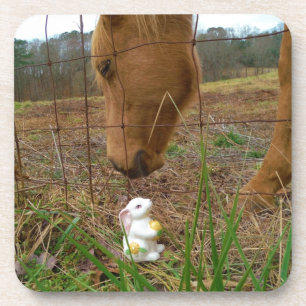 Porta-copo coelhinho de cavalo e Primavera