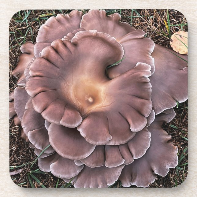 Porta-copo Cogumelo de plástico duro (Frente)