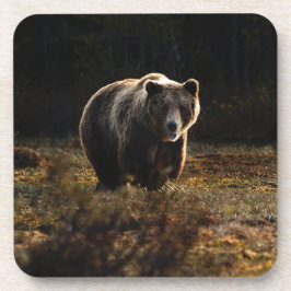 Porta-copo Coletor de Bebidas