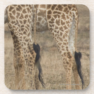 Porta-copo Colheita apertada de dois girafas (Giraffa