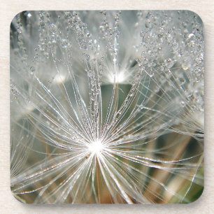 Porta-copo Colírio brilhante num dandelion branco