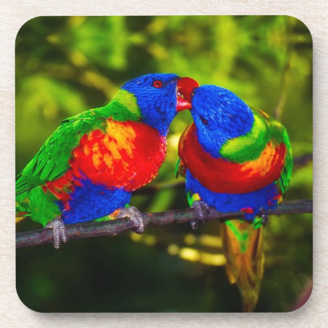 Porta-copo Colorful Couple of Kissing Parrots (Frente)