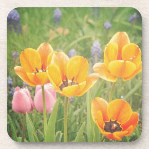 Porta-copo Como uma bela pintura de vida