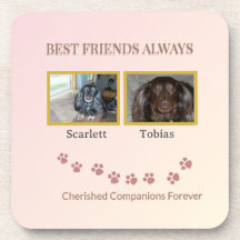Companions Connected by Pawprints